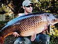 23rd Aug<br />33lb 12oz common